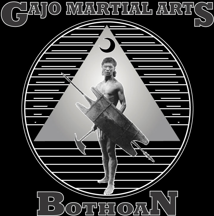 Gajo Martial Arts t-shirt back logo